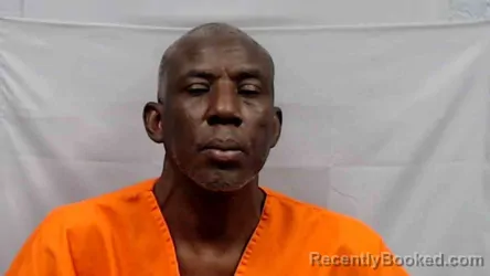 Mugshot of Sumei Okero Ogari booked in Raleigh County, West Virginia on June 14, 2026