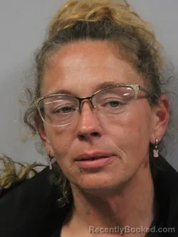 Mugshot of Tiffany Lynn Gillian