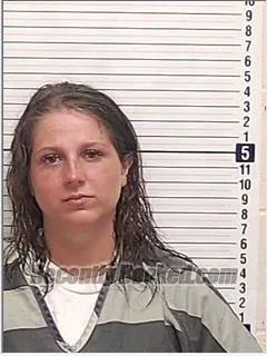 Booking photo from Bay County, Florida