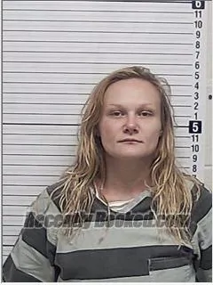 Booking photo from Bay County, Florida