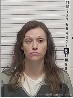 Mugshot of CASSIDY KRISTEN WILSON