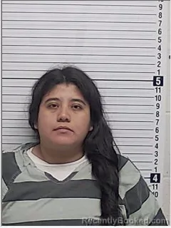 Mugshot of ADRIANA SANTIAGO-HERNANDEZ