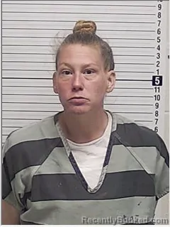 Mugshot of KRISTINA BLAIR CARROLL