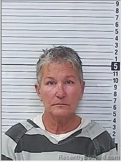 Mugshot of KIMBERLY KAY PHILLIPS