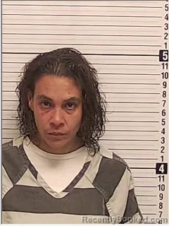 Mugshot of VANESSA VILLA