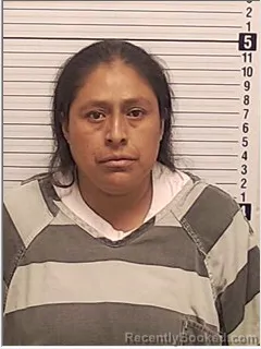 Mugshot of JULIE VELAZQUEZ