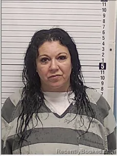 Mugshot of MEAGEN MICHELLE CLAYTON