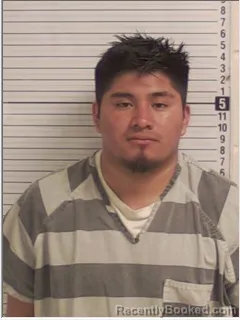 Mugshot of DOMINGO DIAZ-GOMEZ
