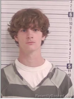 Mugshot of BRAYDEN GREGORY WILLIAMS