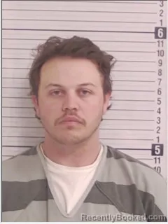 Mugshot of CHRISTIAN BLAKE LYNN VINEYARD