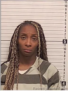 Mugshot of ANGIENETTA JUNEA LEWIS