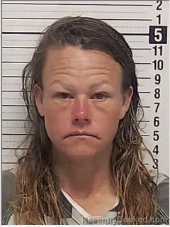Mugshot of AMBER RENE SANDERS