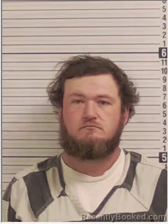 Mugshot of DAVID LEE III MCMULLON