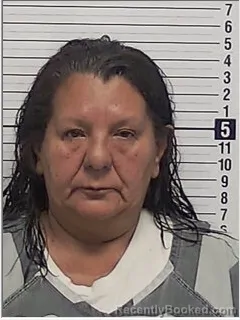 Mugshot of ARMINDA DEL VALLE CASTILLO