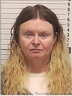 Mugshot of DEBORAH DENISE DIVINE
