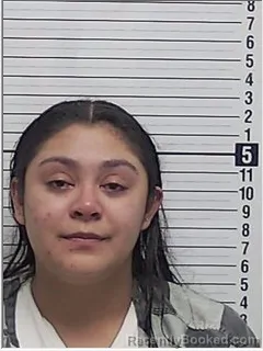Mugshot of NICOL CARRILLO