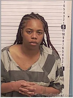 Mugshot of BRINA DIANA BELL