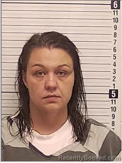 Mugshot of BRIANNE MARIE KUBECZKA