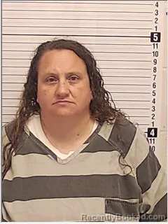 Mugshot of LISA ANNE HARPER