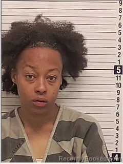 Mugshot of KIONNA GAIL HOLLIS