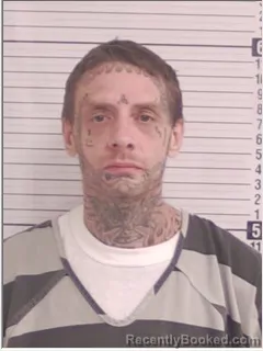 Mugshot of ROBERT STEVEN DAVIS