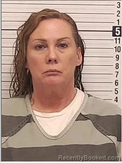 Mugshot of LEIGH MICHELE HOLMES