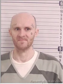 Mugshot of MICHAEL WADE HOWARD