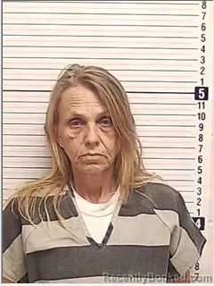 Mugshot of CHRISTINA LYNN CLARK