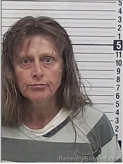 Mugshot of BRIDGETTE MAE IRENE FOSTER