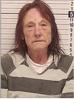 Mugshot of TRINA LYNN WILLIAMS