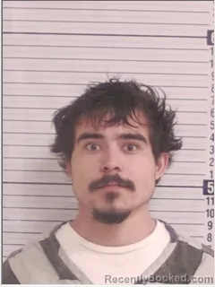 Mugshot of ROBERT NICK FLORES