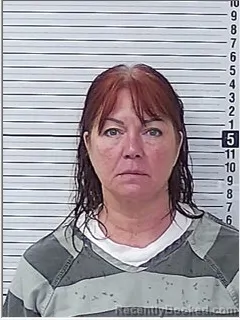 Mugshot of MELISSA LYNN METTILLE