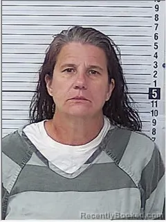Mugshot of PAMELA POWELL COMER