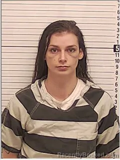 Mugshot of SHAYNA CHEYENNE RICHARDS