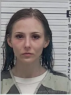 Mugshot of ALYSSA PAIGE SPOONEMORE