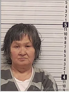 Mugshot of NHI PHAM
