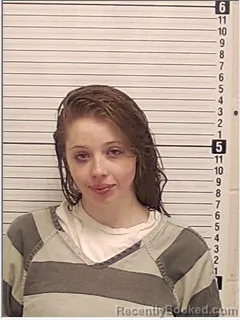 Mugshot of VICTORIA MARIE VOORHIES