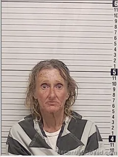 Mugshot of LISA CHARYL HUSTON