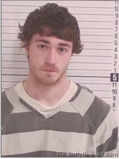 Mugshot of NATHAN TRACE JENSEN