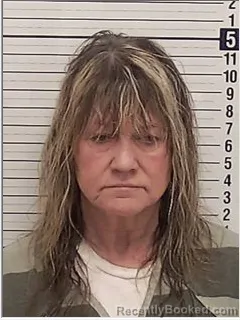 Mugshot of LEE ANN STOKES