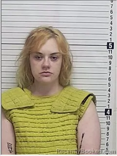 Mugshot of KASEY DIANNE BRUMMETT
