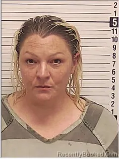 Mugshot of AMANDA SHAE ODOM