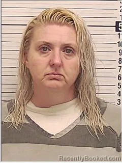 Mugshot of JAMIE LEE STINSON