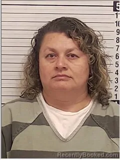 Mugshot of LORENA YANETH CASTILLO-DE MANCIA