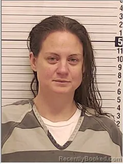 Mugshot of KIMBERLY DIANE CLARK