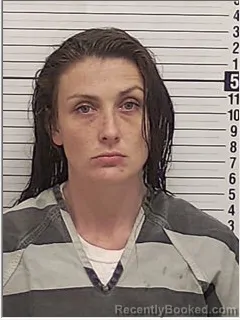 Mugshot of TAYLOR RENEE LAMB