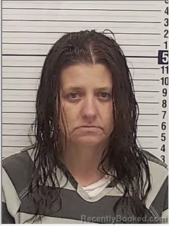 Mugshot of ANNA MARIE NICHOLS