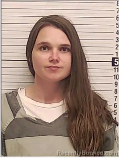 Mugshot of LESLIE SUMMER YOUNG