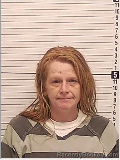 Mugshot of TARA NICOLE MCCORMICK