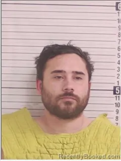 Mugshot of SEAN AUSTIN BANVILLE
